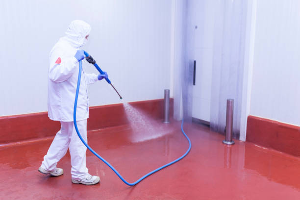 Professional Pressure Washing in Grant, MN